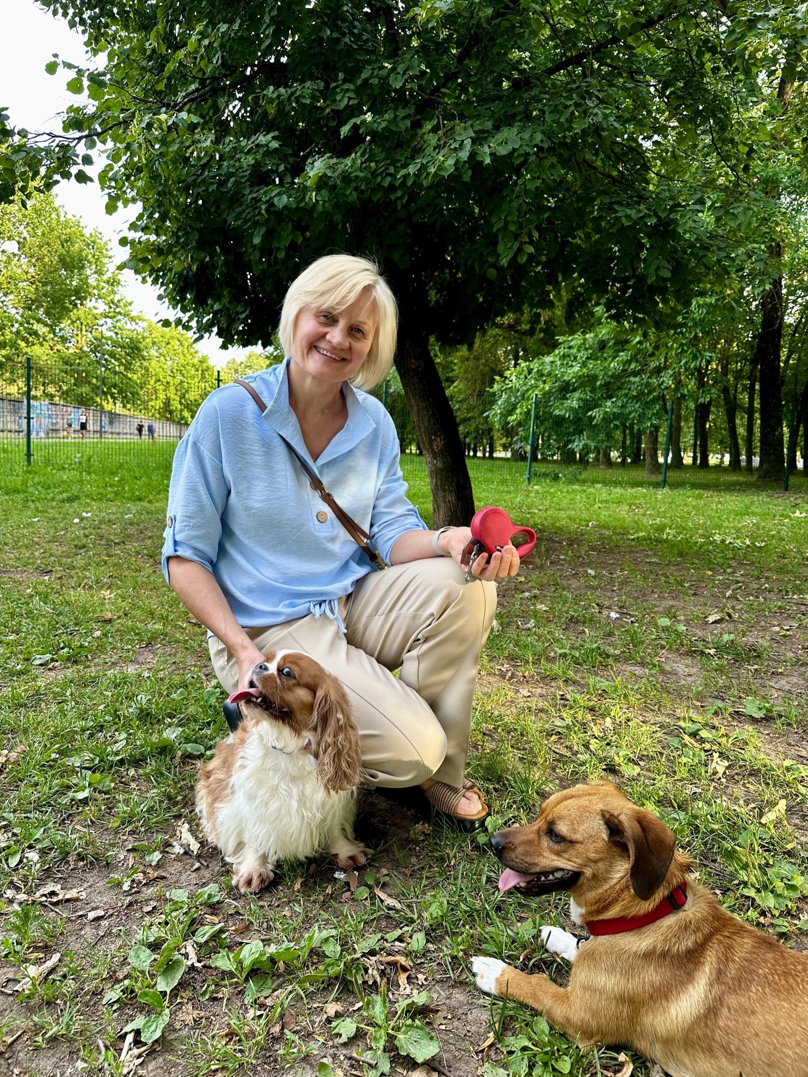 Kalniečių parko šunų vedžiojimo aikštelė — nuotrauka 2