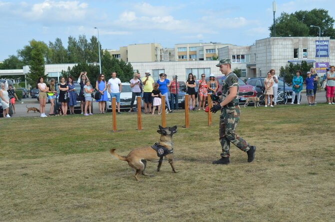 Šunų vedžiojimo ir dresavimo aikštelė prie „Rimi“ — nuotrauka 2