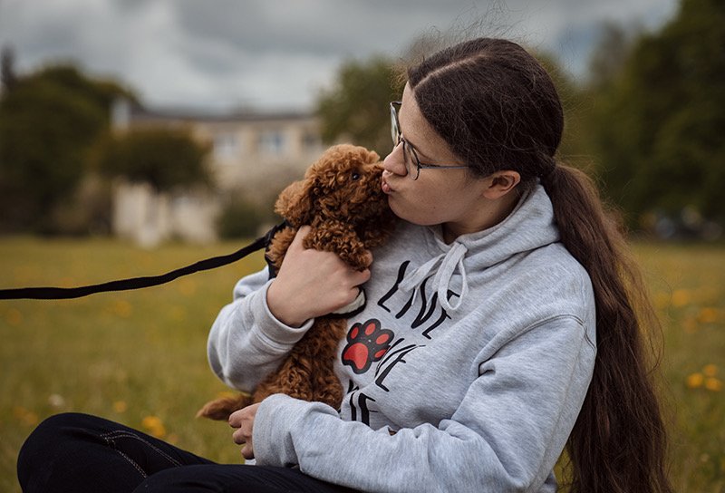 Šunų vedžiojimo ir dresavimo aikštelė — nuotrauka 2