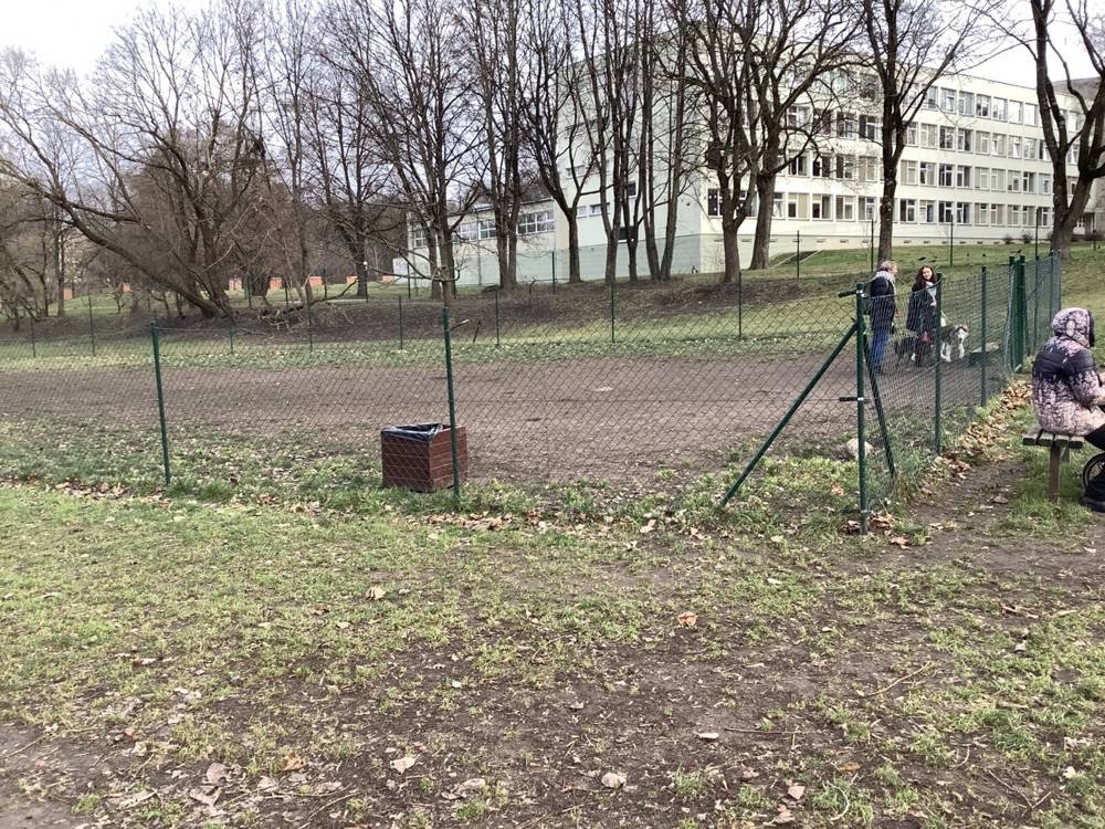 P. Vileišio g. šunų vedžiojimo aikštelė — nuotrauka 2