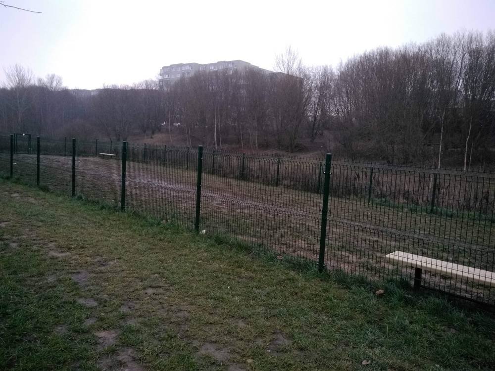 Talino g. šunų vedžiojimo aikštelė — nuotrauka 2