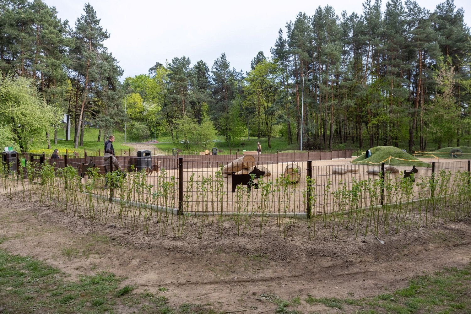 Vingio parko šunų vedžiojimo aikštelė — nuotrauka 2